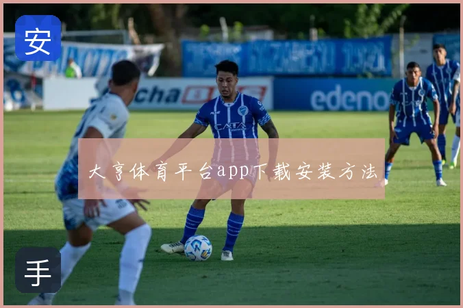 大亨体育平台app下载安装方法